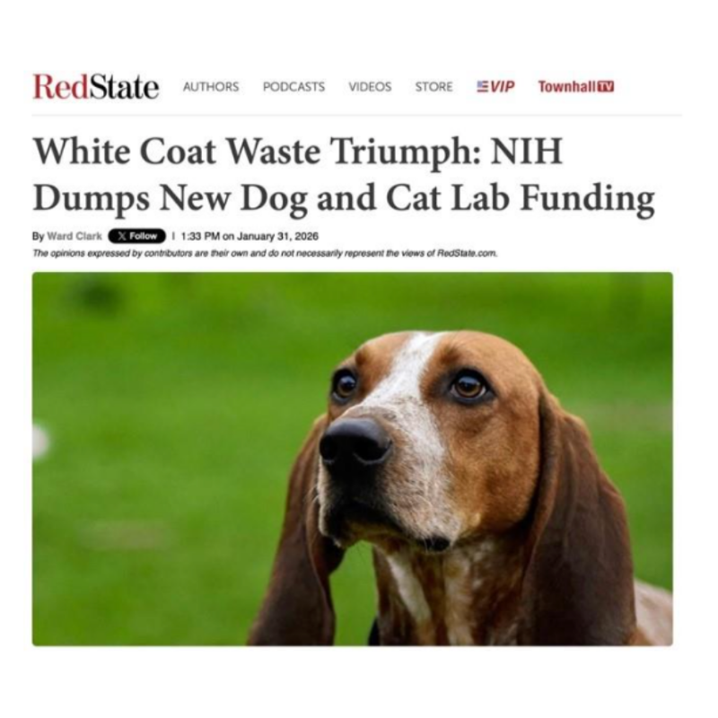 WhiteCoatWaste's tweet photo. "𝐖𝐡𝐢𝐭𝐞 𝐂𝐨𝐚𝐭 𝐖𝐚𝐬𝐭𝐞 Triumph: NIH Dumps New Dog and Cat Lab Funding"

BREAKING.
