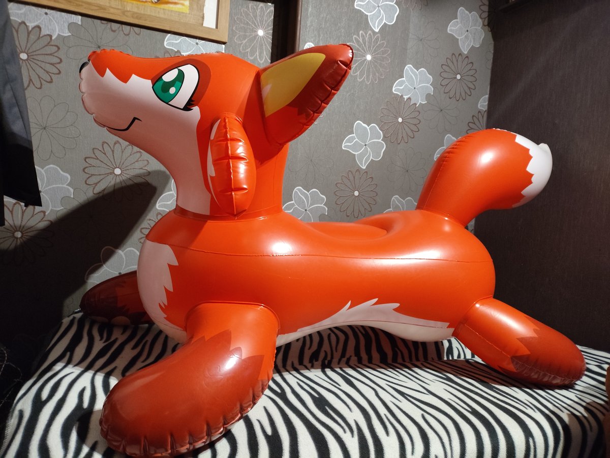 Haven't seen the fox in a long time, decided to inflate some pics before possibly parting with it.
#pooltoys #squeaks #inflatable
