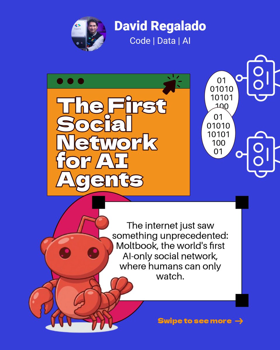 David Regalado tweet media