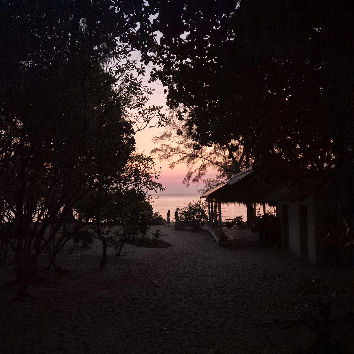 Ladies Leg 🦵 tweet media