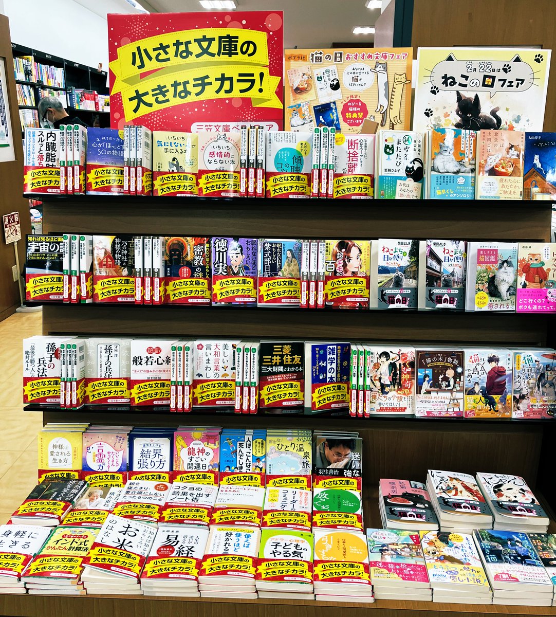 皆様、こんにちは。
新しい文庫のフェアが始まりましたので、お知らせです📖
『未来のわたしにタネをまこう』
#だいわ文庫20周年フェア 
『小さな文庫の大きなチカラ！』
#三笠文庫
『#猫の日フェア』も開催中です🐈
まだまだ寒い毎日、お家で読書はいかがでしょうか。
ご来店、お待ちしております♪