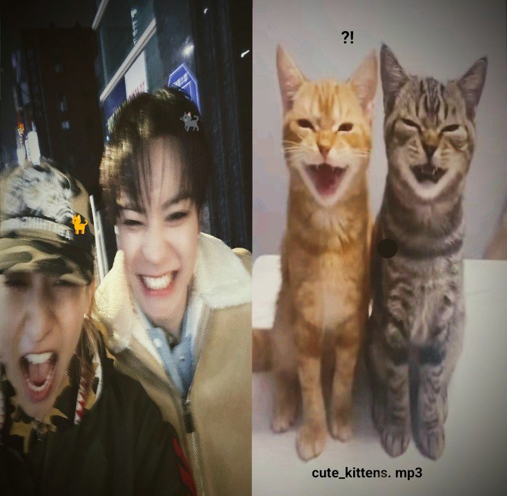 4shoorganic's tweet image. 𖹭 ≽ - ˕ •マฅ ! #우진 #오율