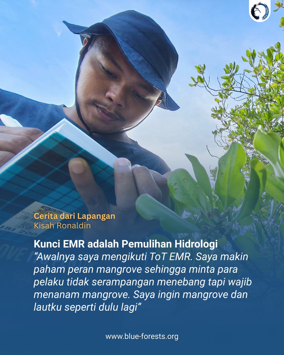 Blue Forests (Yayasan Hutan Biru) tweet media