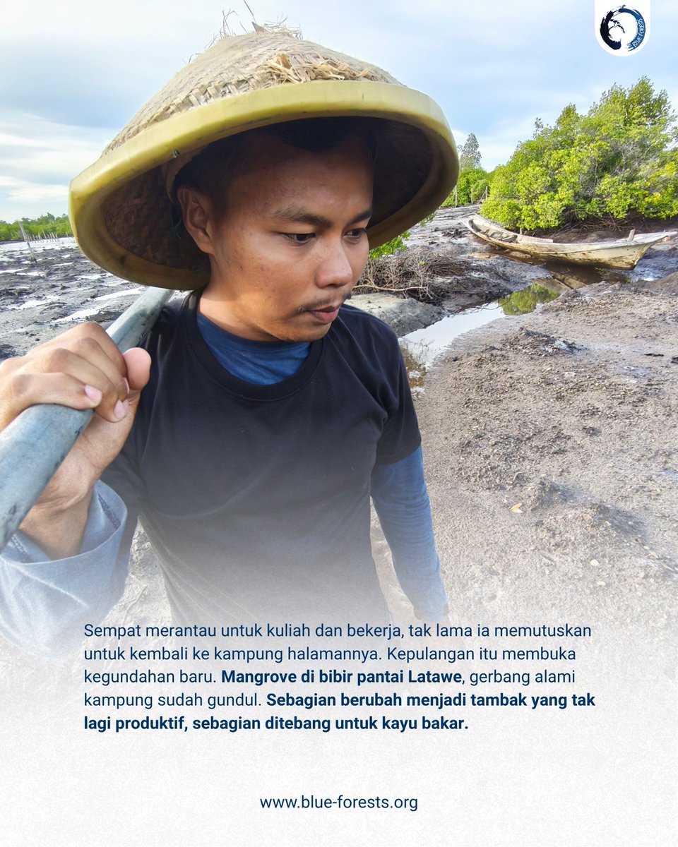 Blue Forests (Yayasan Hutan Biru) tweet media