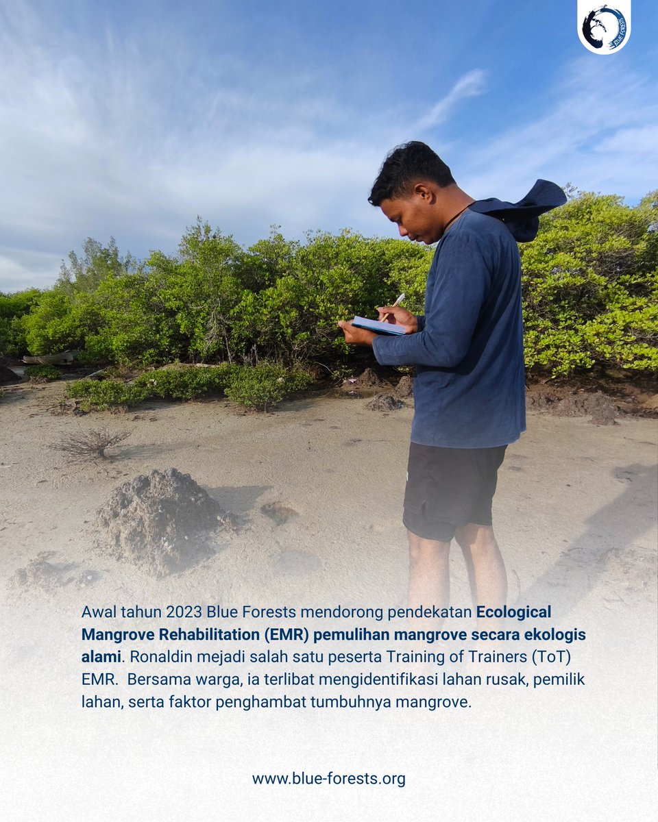 Blue Forests (Yayasan Hutan Biru) tweet media