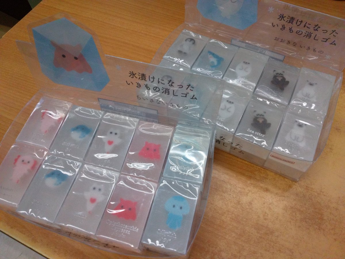 中島新町店】 🐧🦈🦭🦦🐻‍❄🐡🪼 #氷漬けになったいきもの消しゴム
