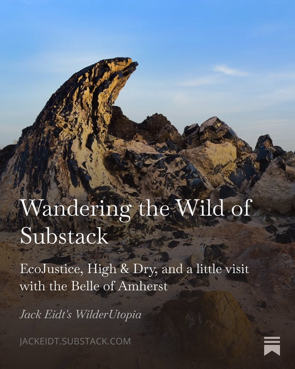 Wandering the Wild of Substack: Peruse our
EcoJustice Radio shows, High &amp; Dry column on the promise and threats to the Salton Sea, and a little visit with the Belle of Amherst. jackeidt.substack.com/p/wandering-th…