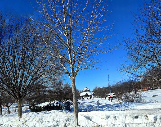 rocio gomez conde tweet media