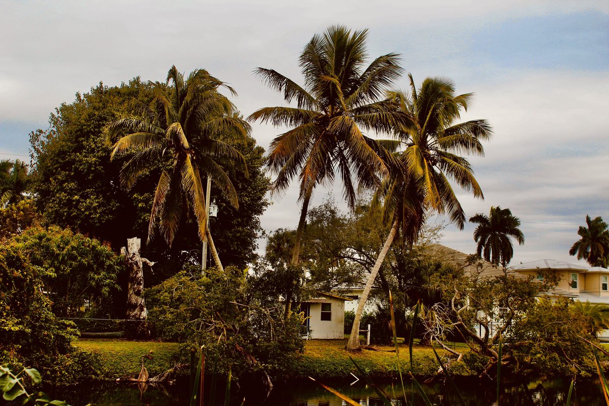 Malicious Maze tweet media