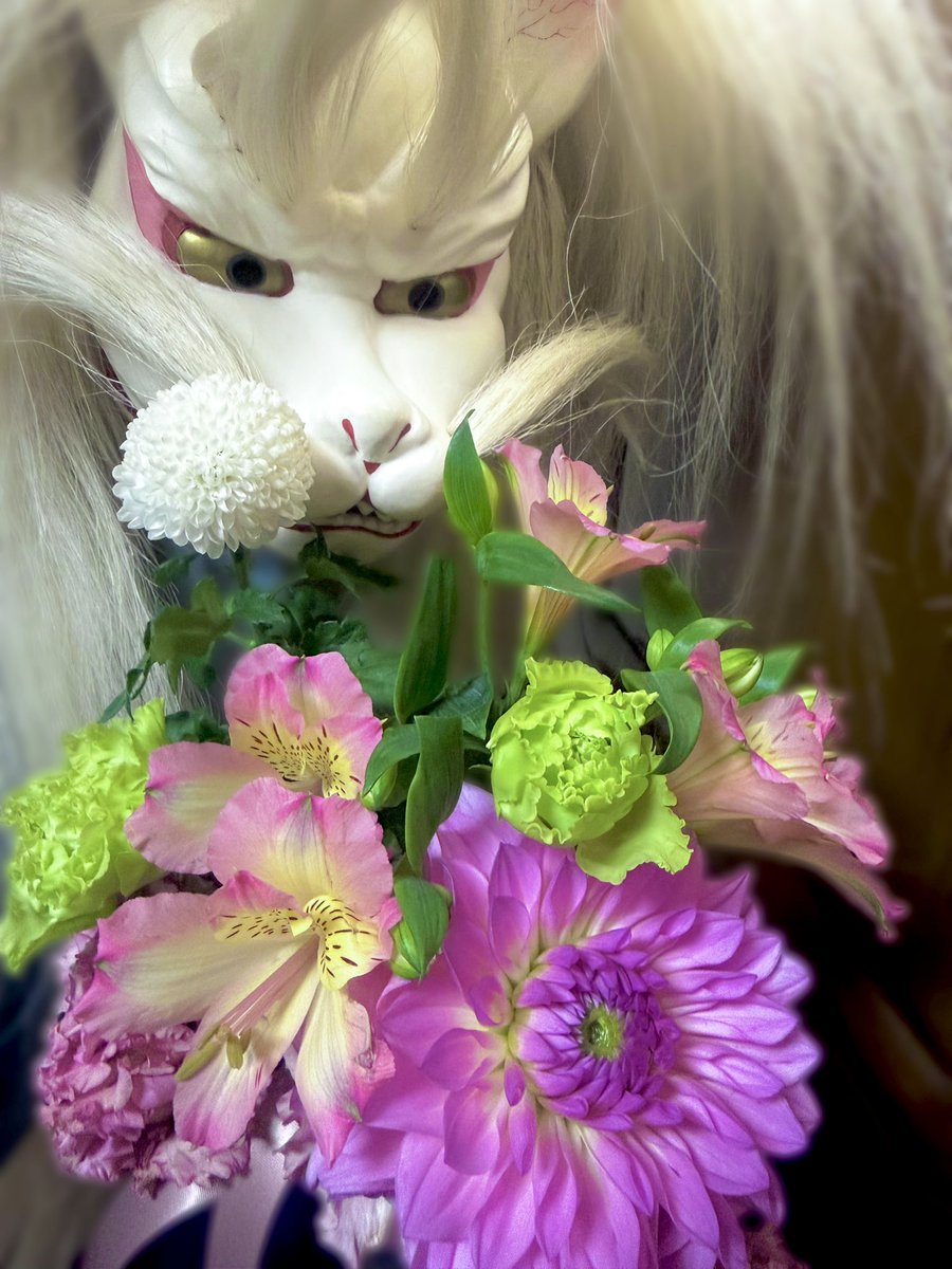 令和8年2月1日は穴守稲荷の初午祭にてお神楽奉納をさせて頂きました。
前回の献灯祭とまた少しだけ演目内容を変えて、準メンバーや里神楽囃子稲荷会の方々とボリューム満天に仕上げてまいりました！見てくださった方もたくさんいました、ありがとうございます✨