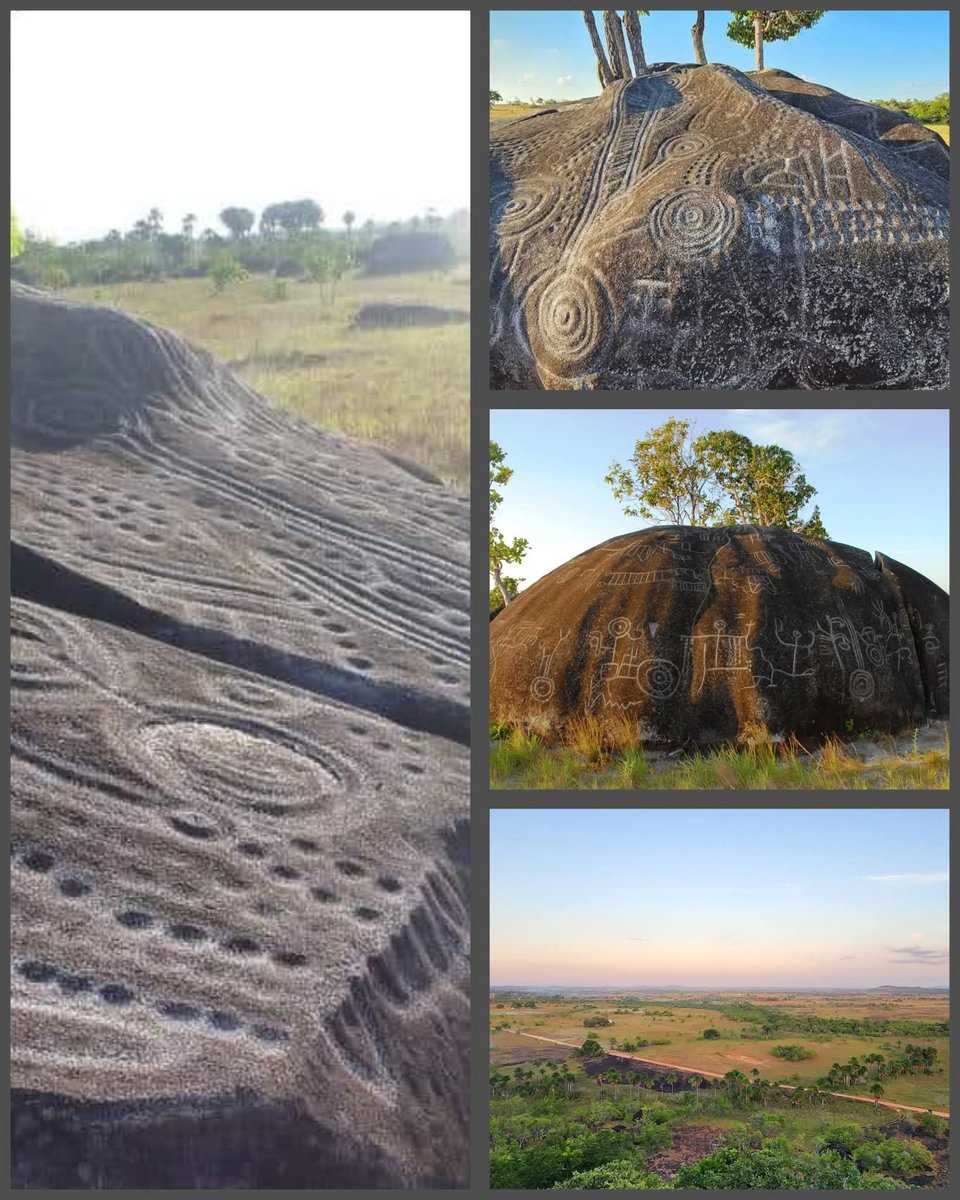 AntroCanal's tweet image. Toda la región sureste del país posee este tipo de presencia ancestral, incluyendo al sur del Esequibo, en el poblado de Aishalton. 

Esto se suma a la continuidad de nuestra gran sabana en el Rupununi esequibano y la costa de manglares en el delta y playa concha, costa noroeste…