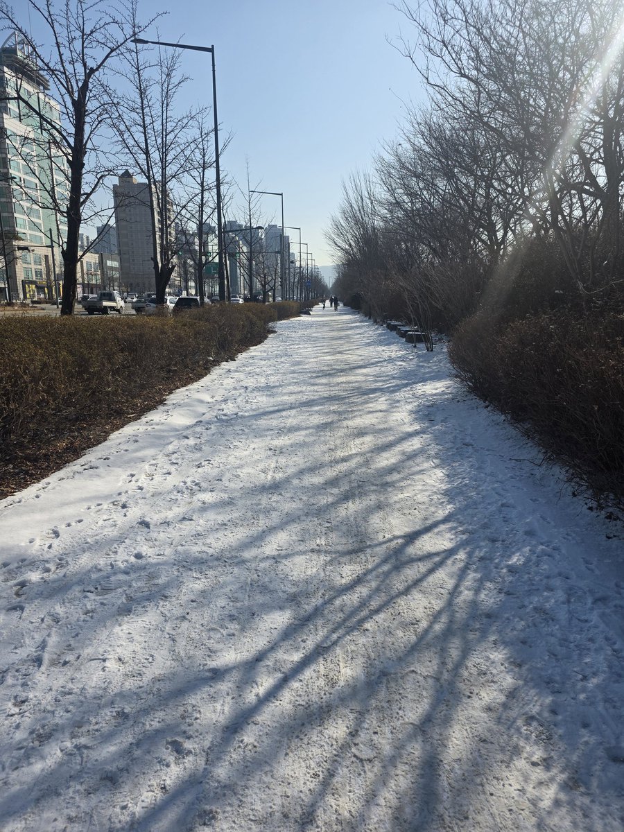 안녕~ 오랜만이야 😁 60cm의 눈을 맞고 돌아오니 6cm의 서울의 눈이 날 반기는구나 ㅎㅎ 좋타☺️