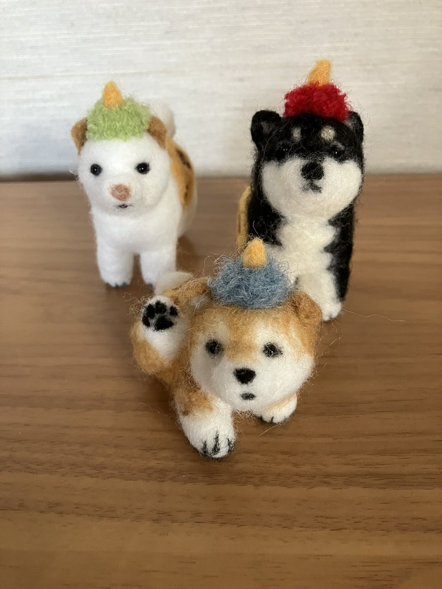 柴犬 ちいちゃん日記 (@LRYYgQzh4l9izb3) / Posts / X