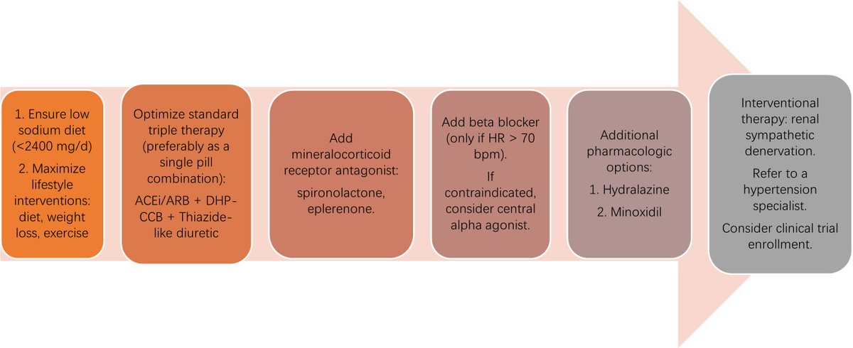 Twinkle xu tweet media