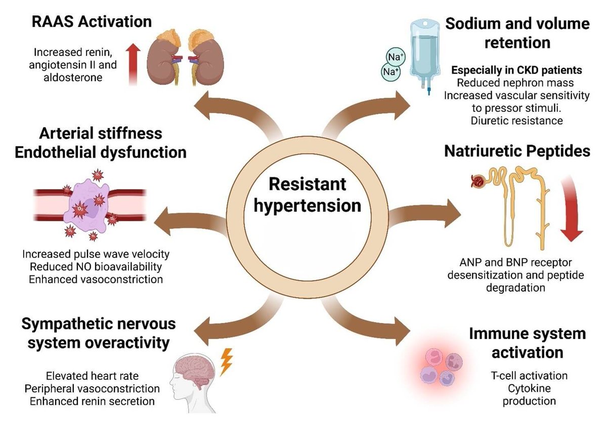Twinkle xu tweet media