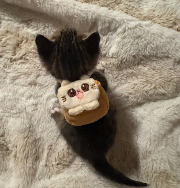 It's him 🤏🏻🤏🏻🤏🏻