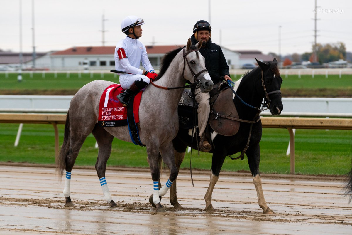 Breakway Farm tweet media