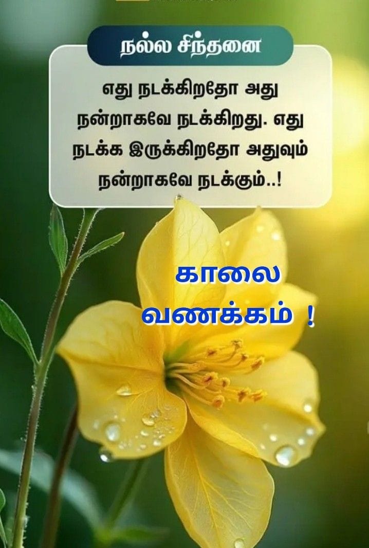 🥰 💞Thanga Prakash.A 💛💕 tweet media