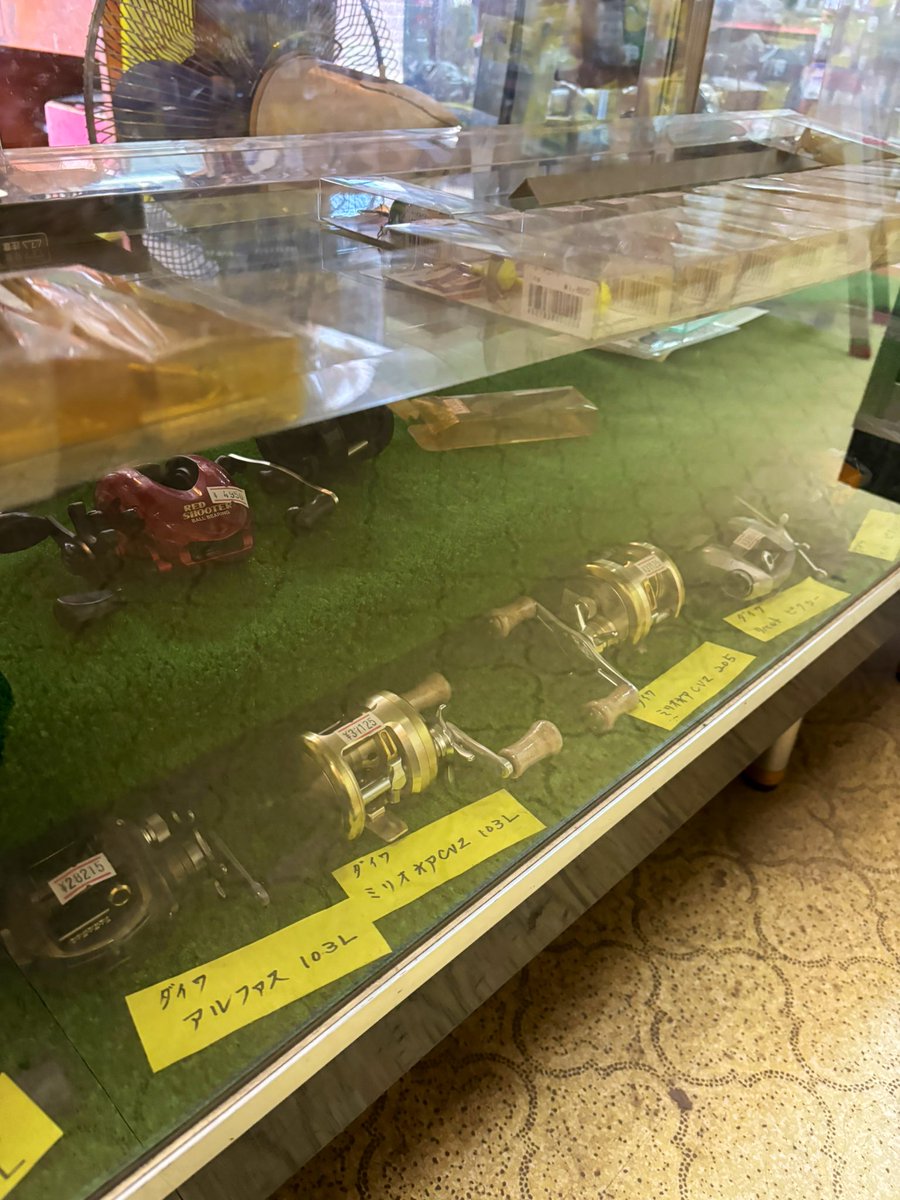 こだま（釣りよかでしょう。） (@ikagamidenai) / Posts / X