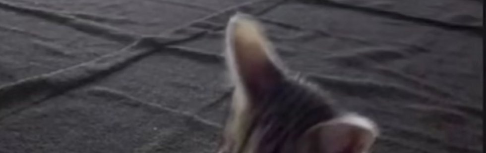 anlikmod's tweet image. su icmeyi unutmayın