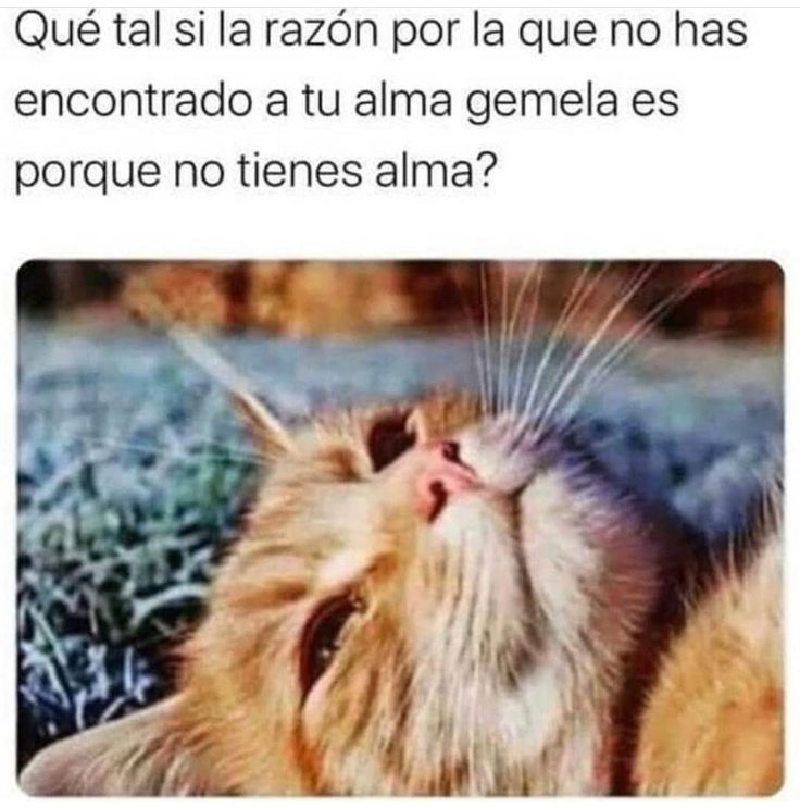 Beryl 🧶 tweet media