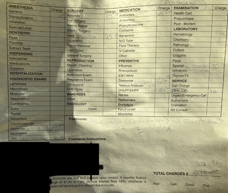 Sorry to break the goon cycle but I’m hoping I can count on some of you for support, I took my 21 year old cat to the vet today and she doing better but I need help paying off the bill, my kofi is in my bio and any support is greatly appreciated. Bill was 300 but 200 is enough.❤️
