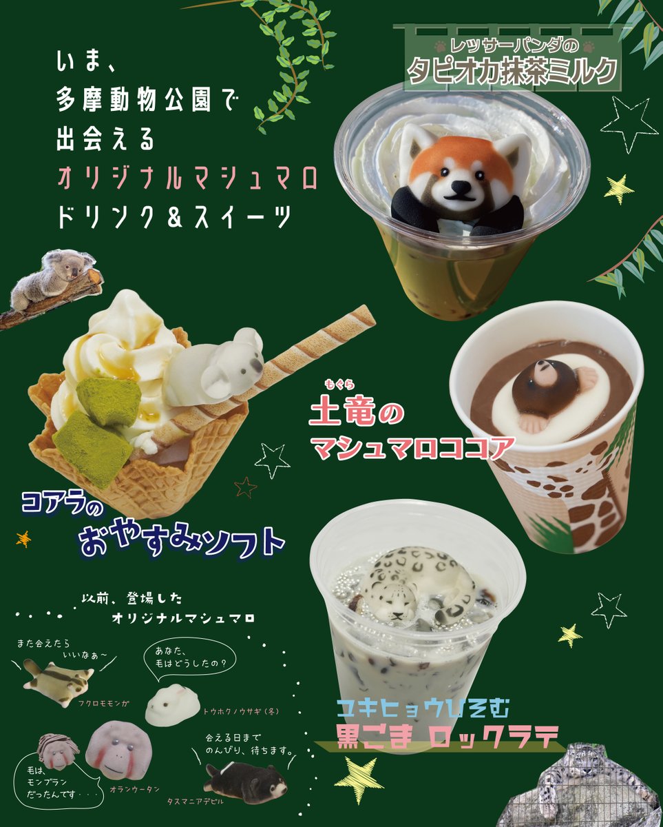 今、多摩動物公園で出会えるオリジナルマシュマロのドリンクとスイーツ!＊土竜ココア／ズーカフェ   ＊コアラのおやすみソフト＊ユキヒョウひそむ黒ごまロックラテ＊レッサーパンダのタピオカ抹茶ラテ／コアラ館下売店 こだわりのどうぶつマシュマロを是非ご賞味下さい。 #tzoo_f