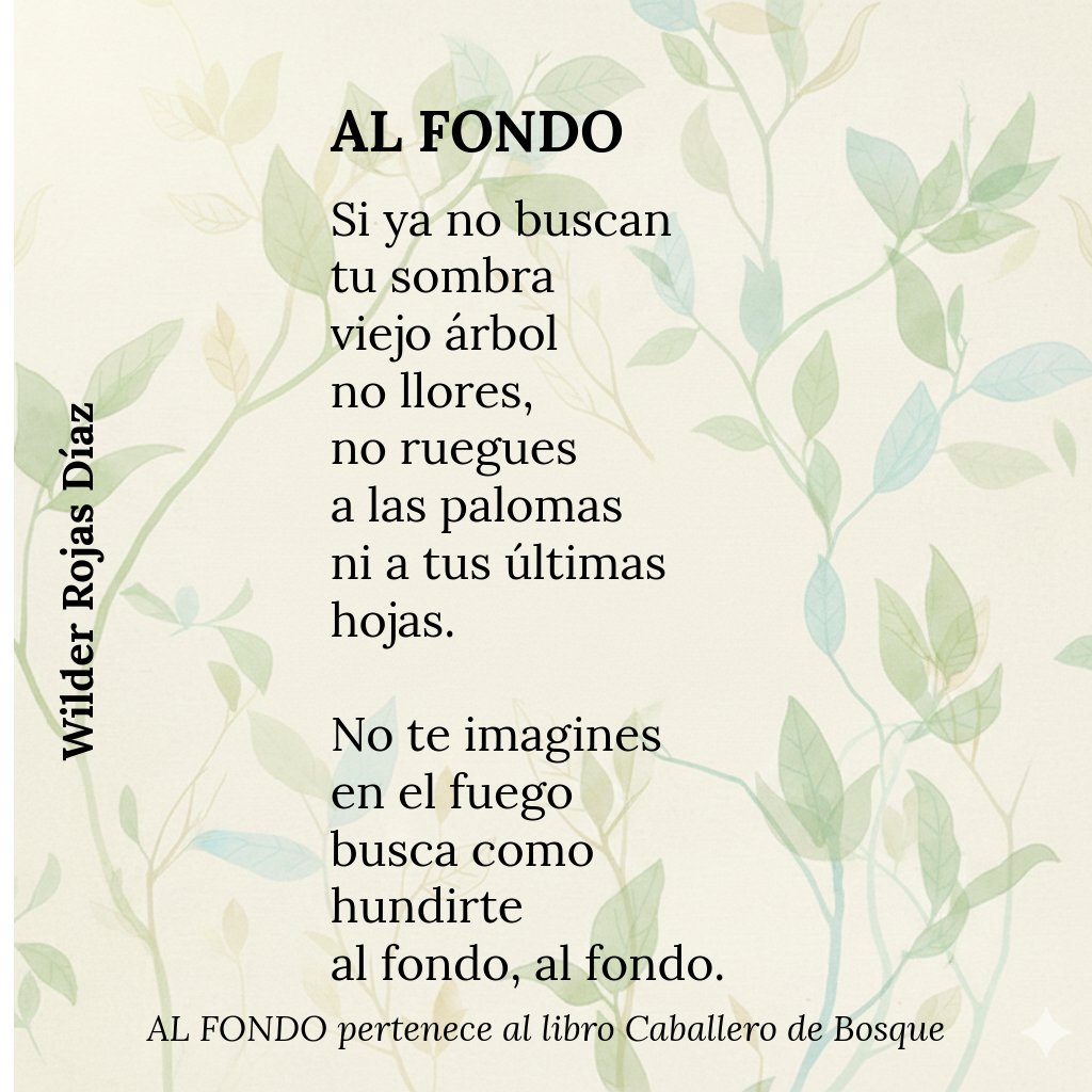 Wilder Rojas Díaz tweet media