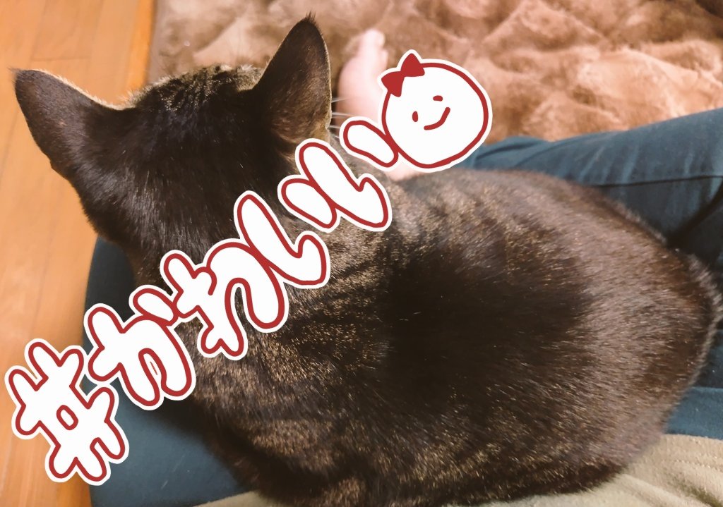 𝕤𝕖𝕣𝕚𝕔𝕠. (@serico_) / Posts / X