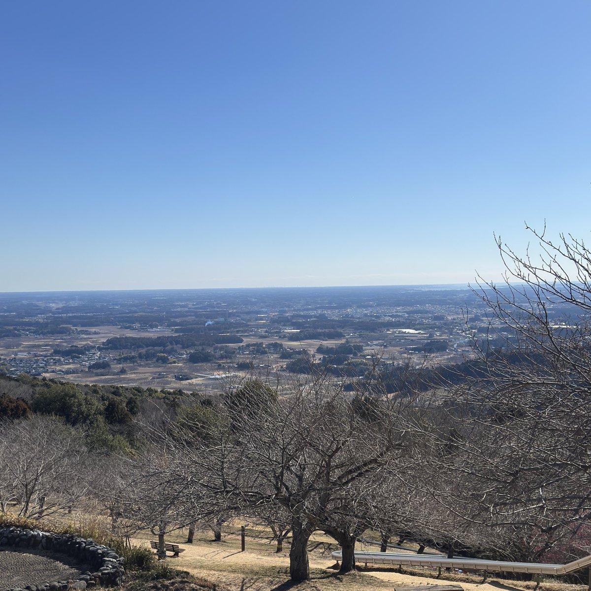 山に来た