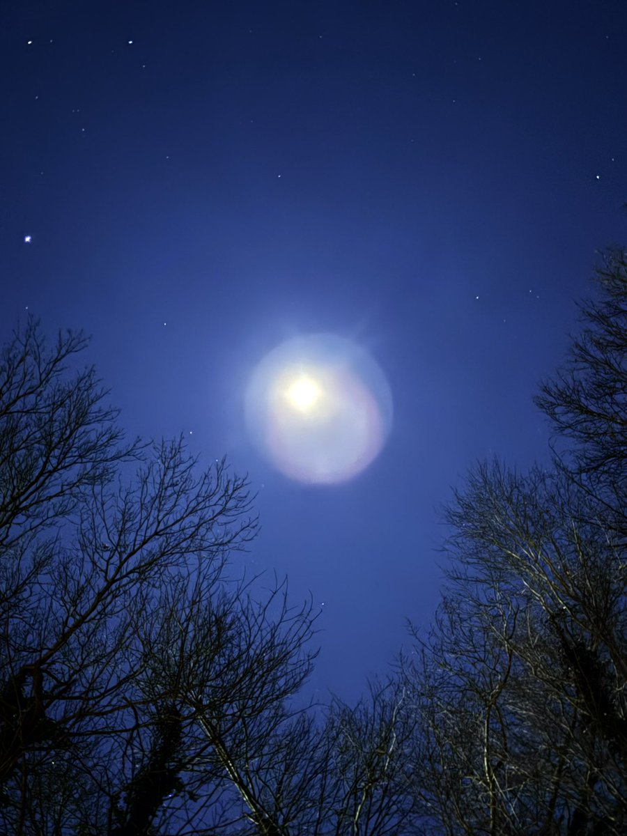 just jane tweet media