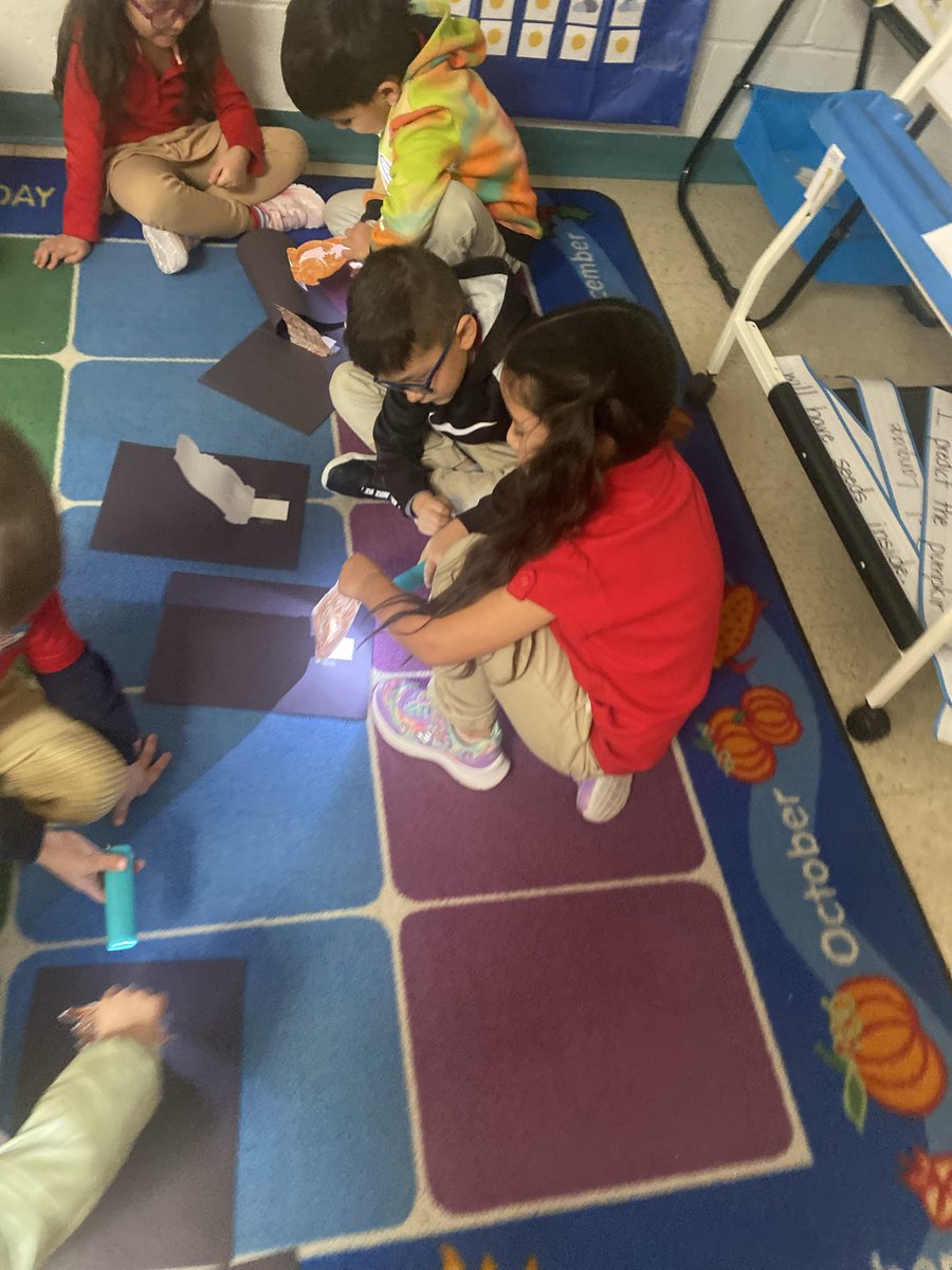 MAlvarez_MCE's tweet photo. Phil saw his shadow in our classroom too! You know what means?! 6 more weeks of winter. 🕳️❄️⛄️🌨️🥶 #TeamSISD #GroundhogDay #DiadelaMarmota #DualLanguageAcademy #MCE https://t.co/jfsPEuFnqL