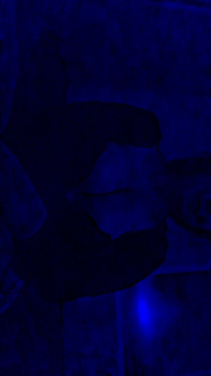 I'm about to go live, make sure to join!

I have tips turned on for X so if you want to be my favorite follower make sure to send a tip🫶💖