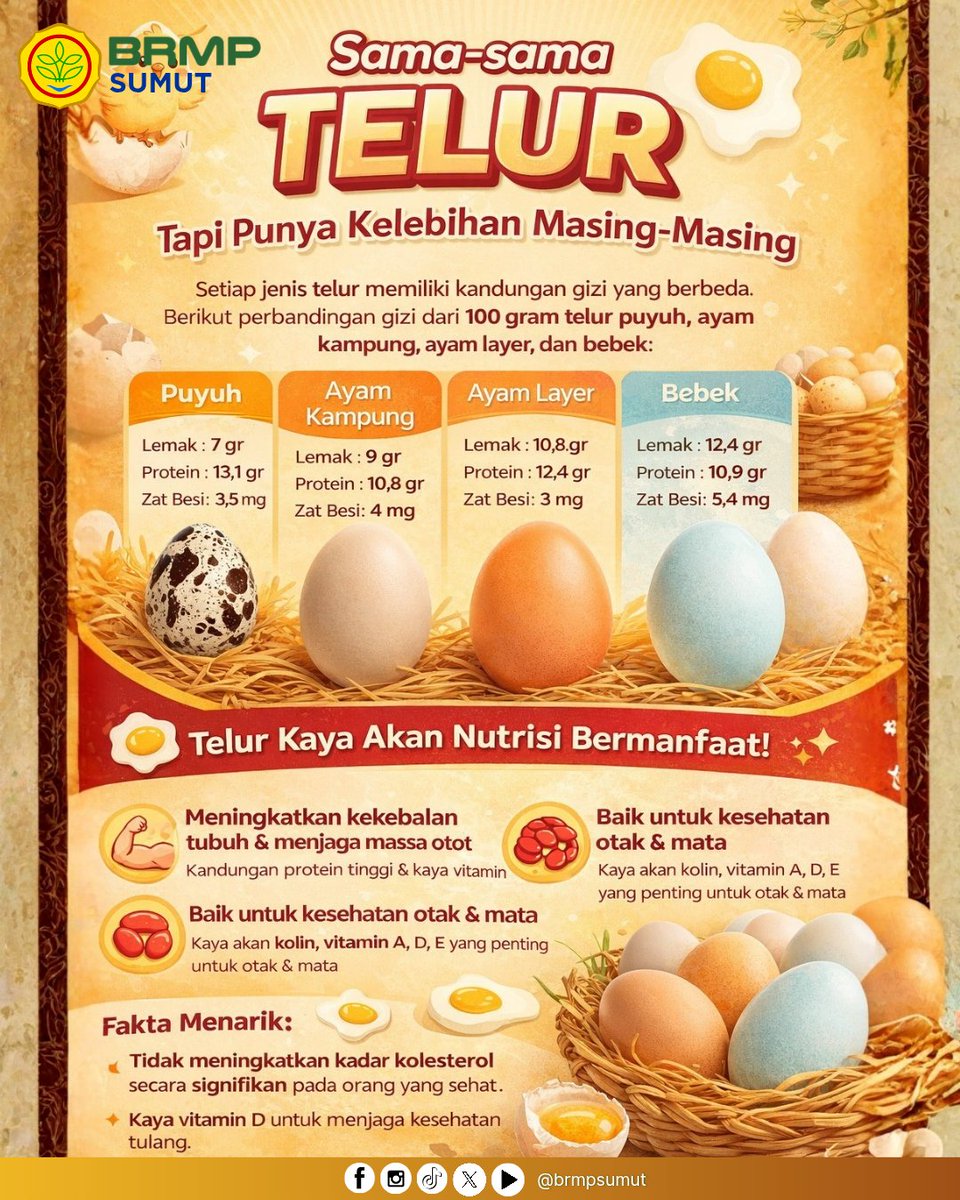 🥚 Sama-sama telur, tapi kelebihannya beda-beda! 🥚
Telur puyuh, ayam kampung, ayam layer, hingga telur bebek—semuanya kaya gizi dan punya manfaat masing-masing untuk tubuh 💪🧠👀