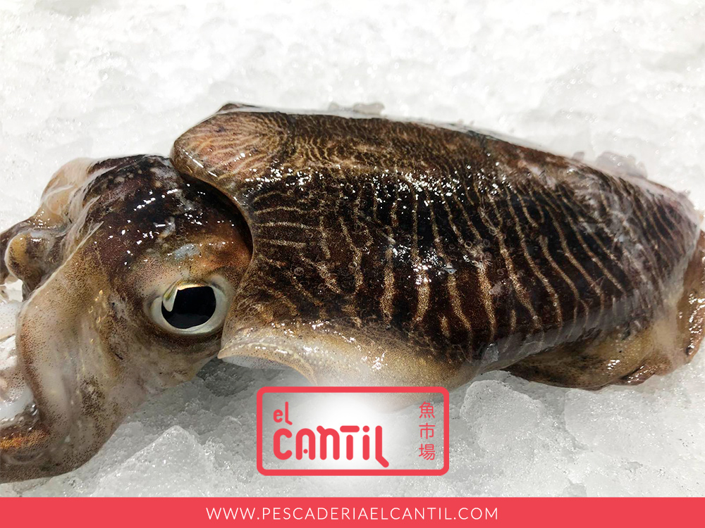 Pescaderia El Cantil tweet media