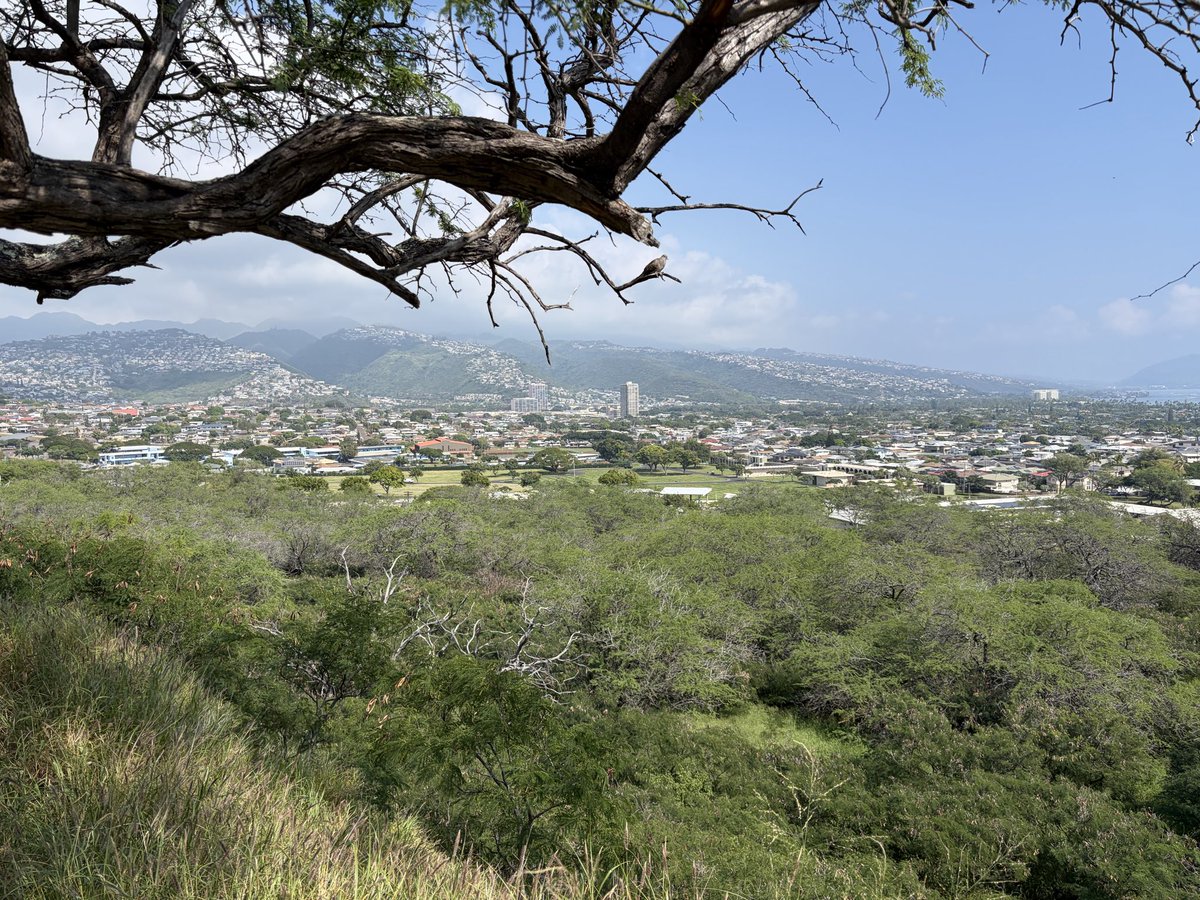 山本空良（公式） tweet media