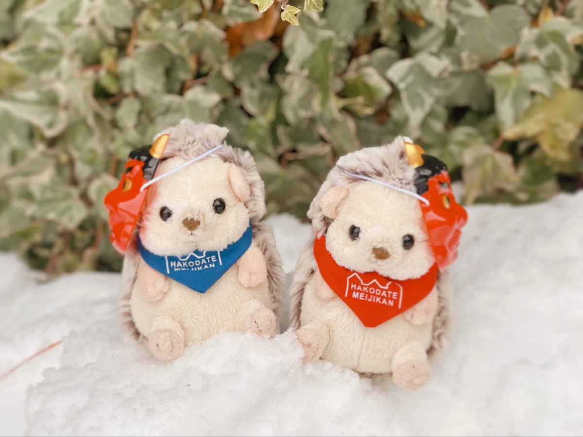 くくり (@Kukuri_meow) / Posts and Replies / X