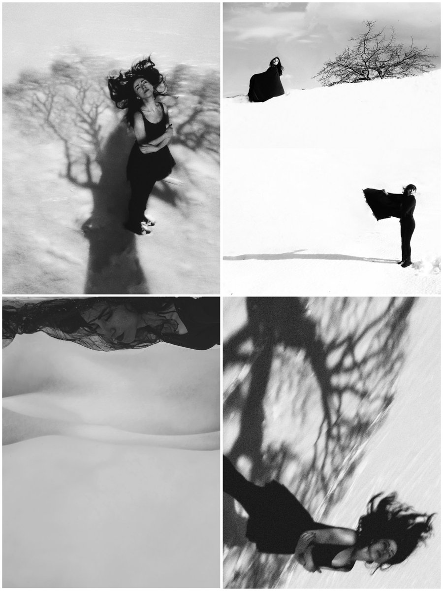 .Kitsu.Sun tweet media