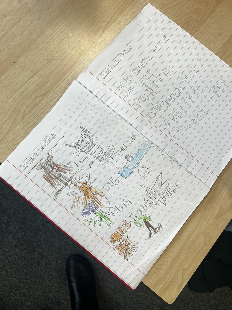 P3 learning about Scottish wildlife in the classroom and then outside to become ‘Tree Detectives’.