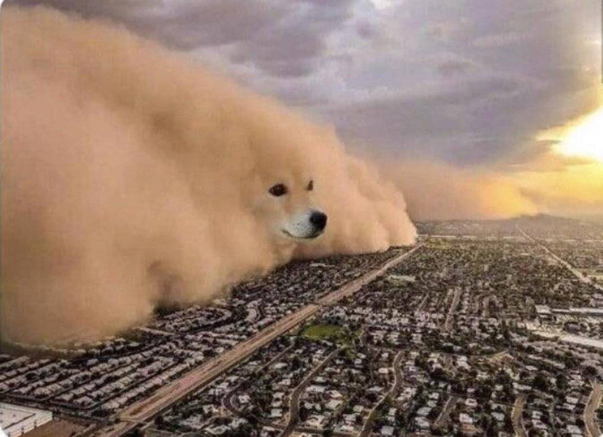 Doge on the moon is inevitable 🤣