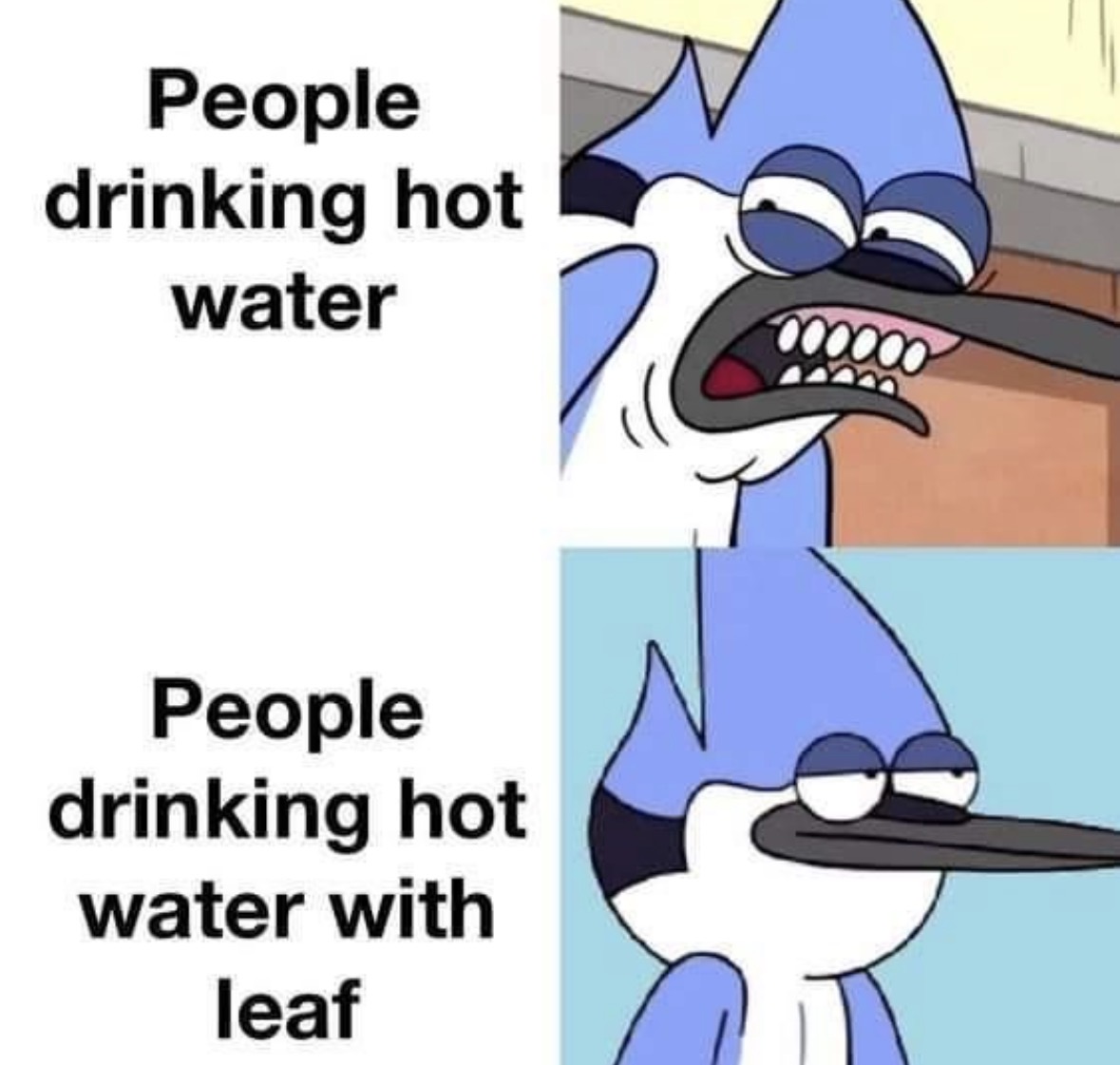 RespectfulMemes's tweet photo. https://t.co/lgqT3tiXOI