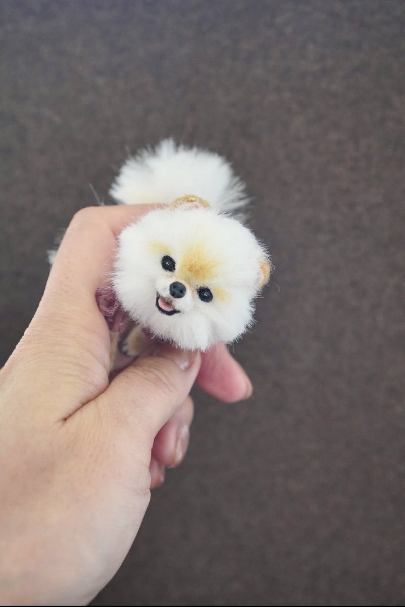 ポメちゃん🐶🐾