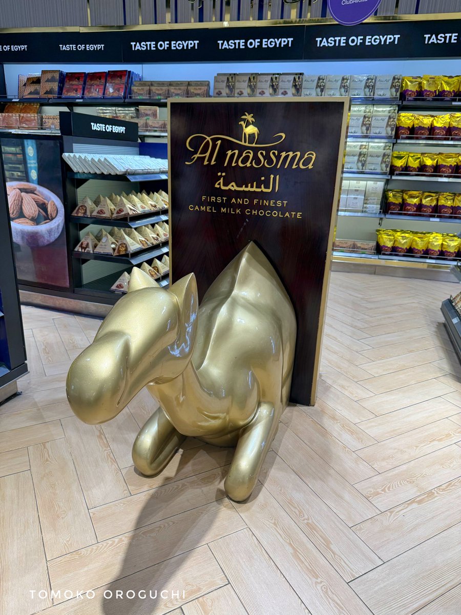 ドバイあたりでしか買えなかったラクダのミルクチョコが、まさかの