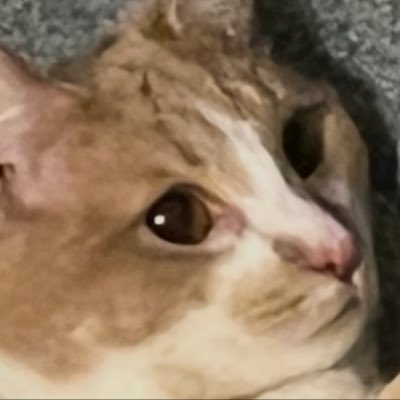 Libby Gerdes tweet media