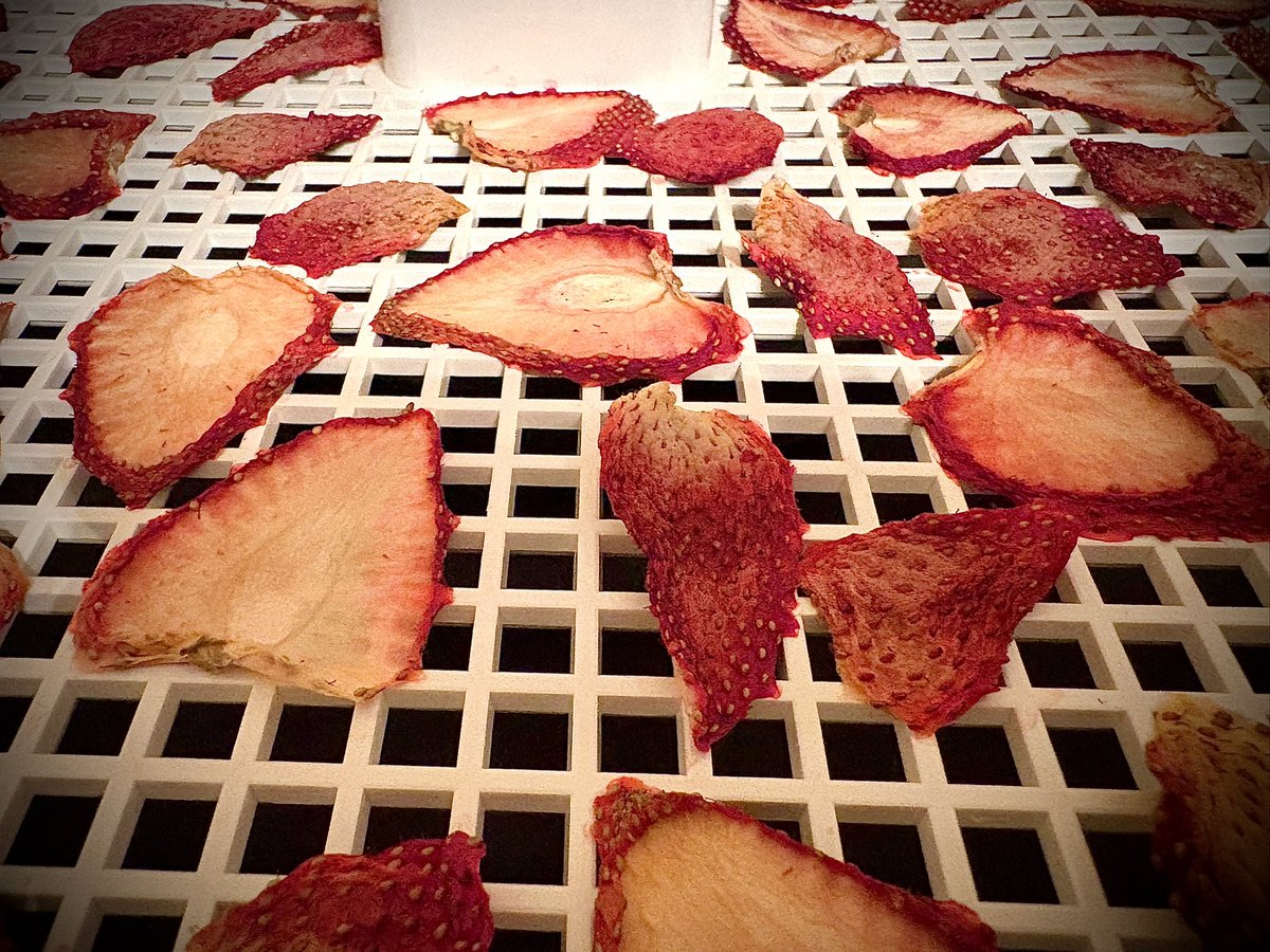 沼津蒸留所よりLAZY MASTERシリーズ🍓ナッティストロベリー🍓

苺の華やかさにナッティー感のあるカカオニブやアーモンドなども使用🍫🍓🥜

ちょうどドライのいちごも仕上がったのでナッティー感にもいちご感にも合わせられそう🍓

2/3 18:00 OPEN🍓