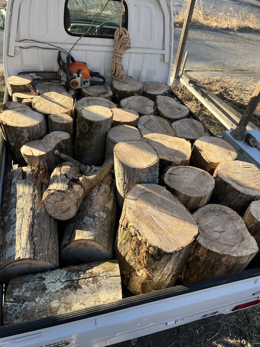 来年、再来年に向けて薪ストーブ用の薪活に励んでおります。立ち木を伐