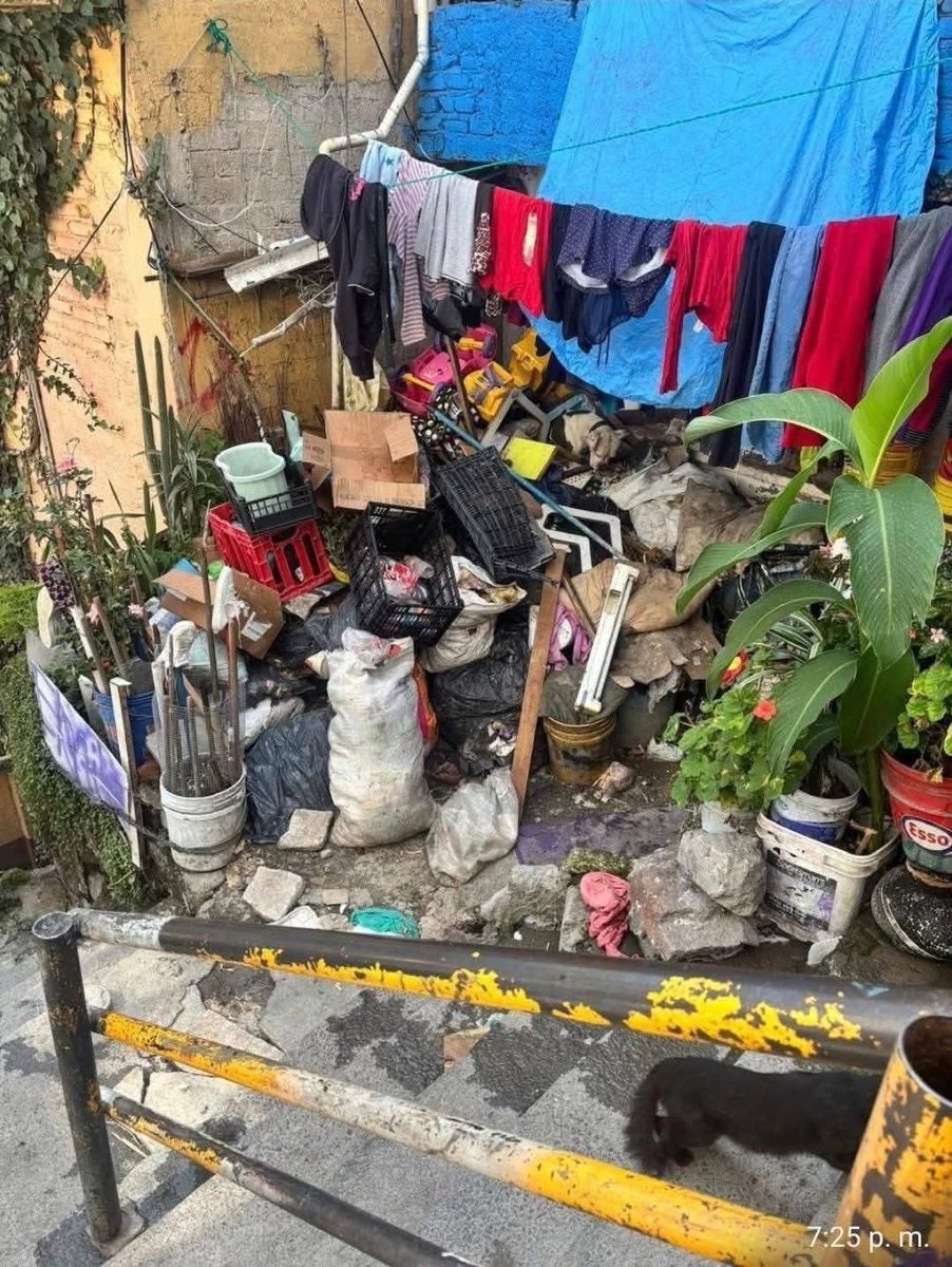 MorenaMia25's tweet image. .@FiscaliaCDMX SSC" Tauro"
Upc Alpes
Zona Poniente @AlcaldiaAO 
Territorial: AOB-3
Región: Heracles 
Evento: Crueldad y Maltrato Animal, Sujeto Armado No Permite Que Rescaten A Un Lomito Encadenado Sin Agua y Sin Alimento, Sufriendo Entre Basura y Las Inclemencias Del Tiempo