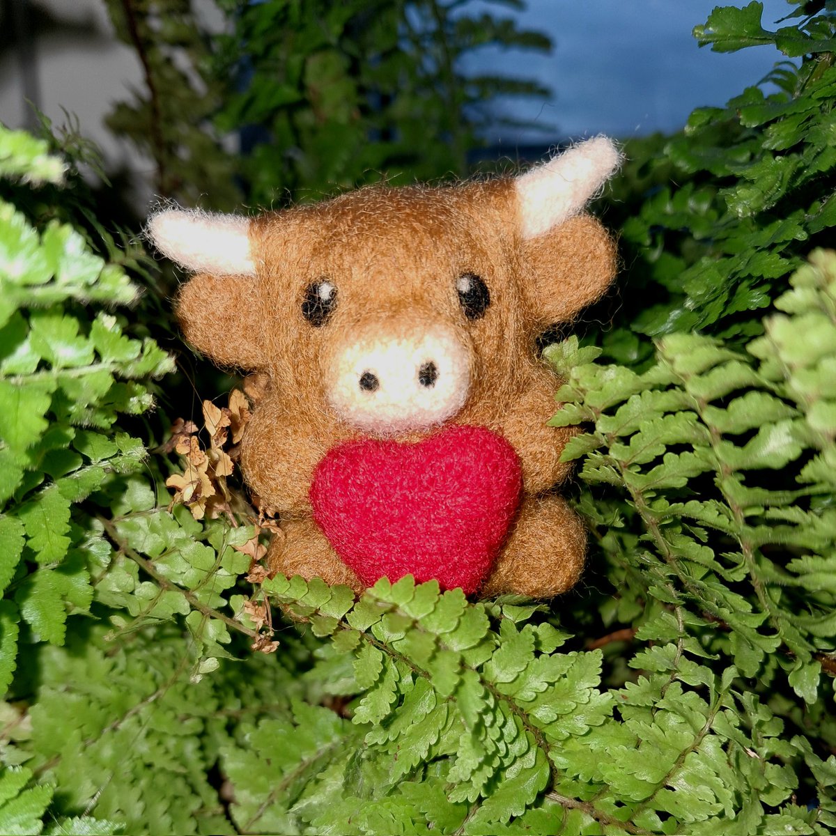 Victoria Hillman (Woolley Wildlife) tweet media