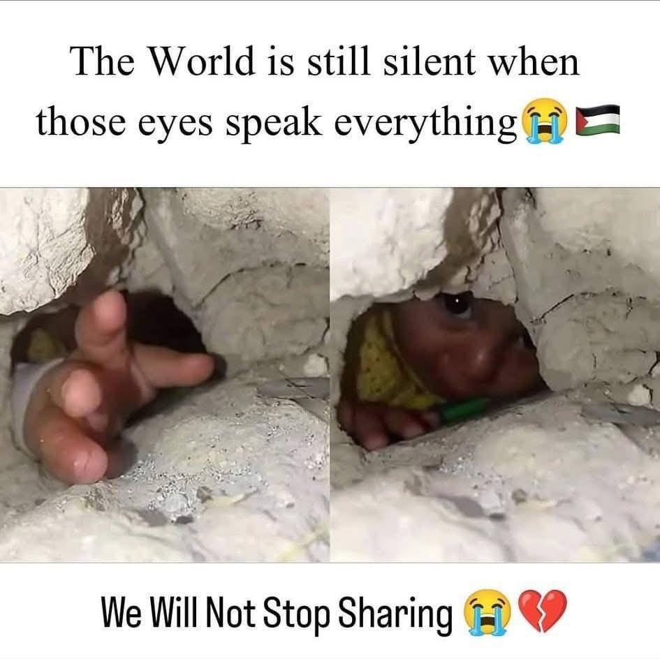 Yousef in Gaza 🇵🇸 tweet media