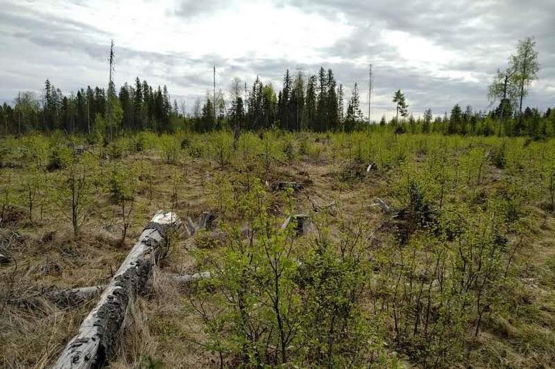 İsveç’teki Madencilik Reformu Yeni Projelerin Önünü Açtı

İsveç Parlamento’sunun (Riksdag) 1 Ocak 2026 tarihinden itibaren yürürlüğe giren kararı ile İsveç’te uranyum madenciliğinin yapılması onaylandı.

Detaylar: madencilikturkiye.com/isvecteki-made…